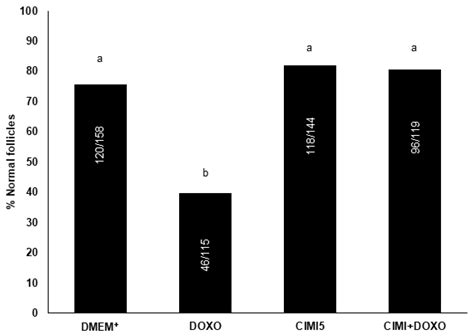Protective Effect of Cimicifuga racemosa (L.) Nutt Extract on Oocyte ...