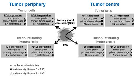 The Periphery of Salivary Gland Carcinoma Tumors Reveals a PD-L1/PD-1 ...