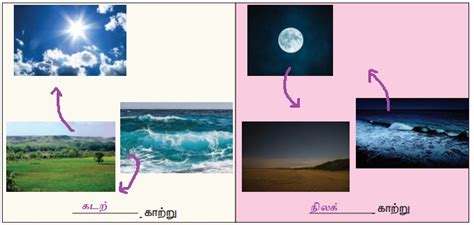 வினா விடை - காற்று | மூன்றாம் பருவம் அலகு 3 | 3 ஆம் வகுப்பு அறிவியல் ...