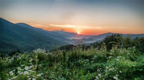 Summer Sunrise in the Blue Ridge Mountains of North Carolina OC ...