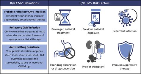 Cytomegalovirus infection in transplant recipients: newly approved additions to our ...