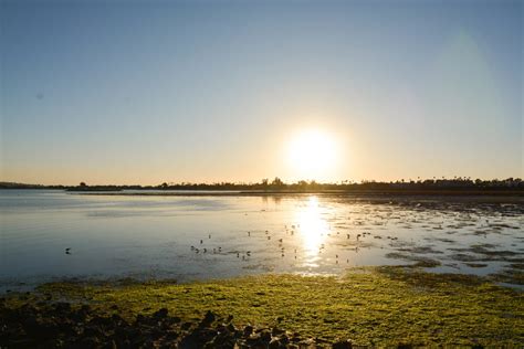 Wildlife Sanctuary | San Diego & Mission Bay | Campland on the Bay