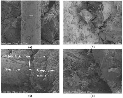 Influence of Steel and Poly Vinyl Alcohol Fibers on the Development of ...