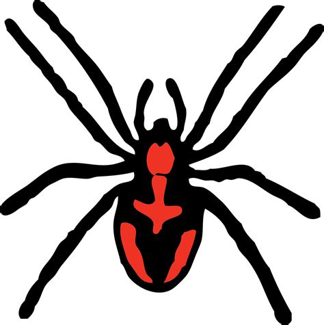 Over 200 Free Spider Vectors - Pixabay