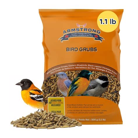 ARMSTRONG Wild Bird Food Mealworm Alternative Bird Grubs - 1.1lbs in ...