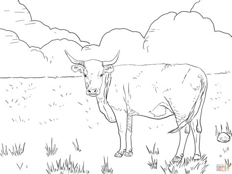 Cow Printable Coloring Pages - Coloring Home
