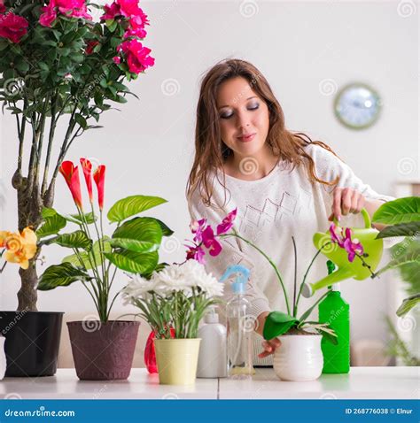 Young Woman Looking after Plants at Home Stock Photo - Image of fresh, hobbies: 268776038