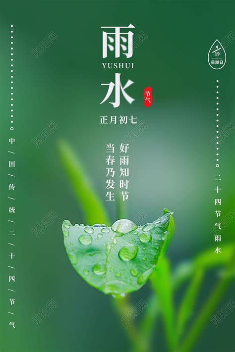 绿色实拍二十四节气雨水海报图片下载(二十四节气雨水图片) - 觅知网