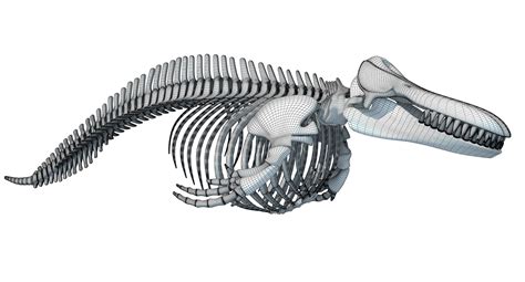Image result for Alien-Looking Device