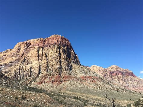 Image result for Loop Pimple