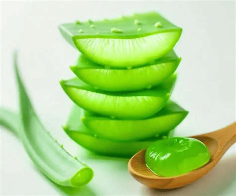 Aloe Leaf Extract – Simply Kids