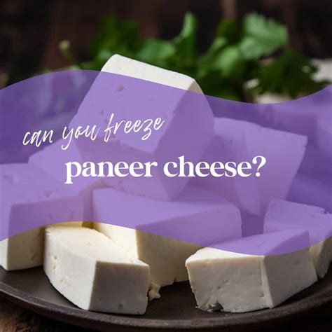 Can You Freeze Mozzarella Cheese? - Freezy Does It