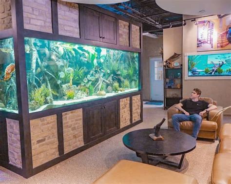 Bildergebnis für tv fish aquarium