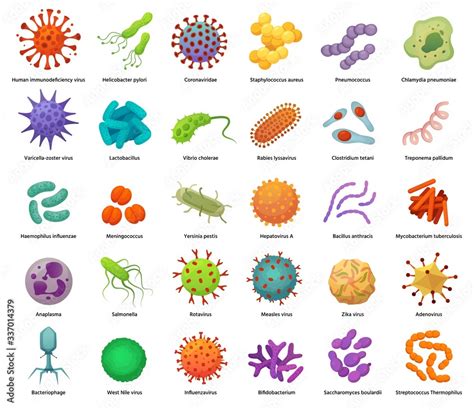 Viruses 的图像结果