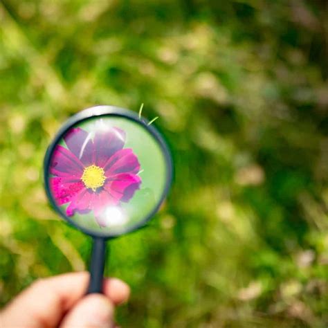 Self-Discovery Questions: 3 Essential Questions You Need To Answer