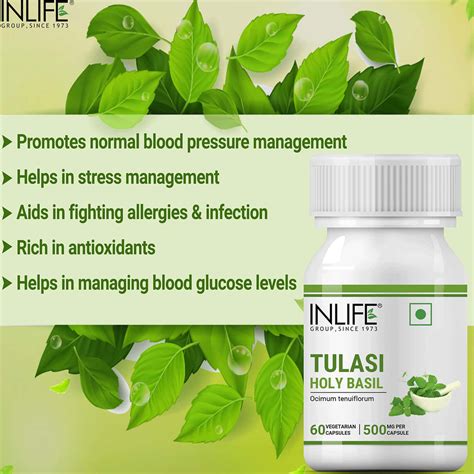 Buy INLIFE TULSI (TULASI) NATURAL IMMUNITY BOOSTER & RESPIRATORY ...