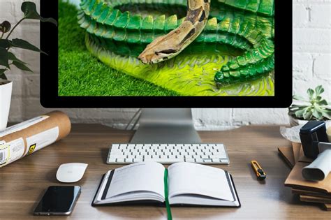 Image result for Python Coding Software