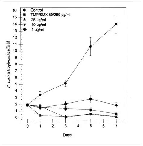 Bioorganic Studies in AIDS: Synthetic Antifungals Against Pneumocystis ...