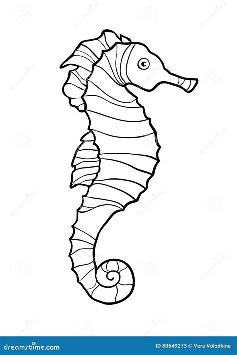 Seahorse Drawing Outline