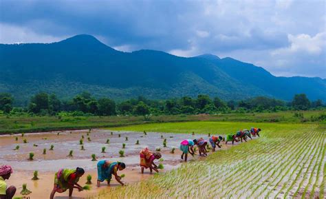 The great agrarian distress – APEG