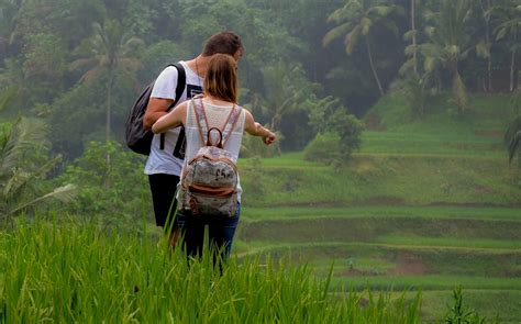 Ubud Rice Terraces, Temples and Volcano Tour in Bali in Bali | Pelago