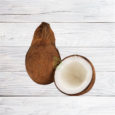 Coconut - Organic – Satva Farm