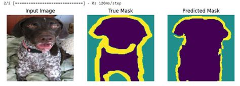 Image Segmentation Using Unet Tensorflow 的图像结果