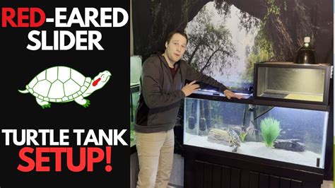 Image result for Red Ear Slider Turtle Tank Setup