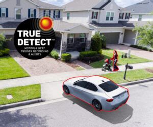 PIR Detection Camera 的图像结果