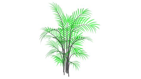 JavaScript Palm Tree Design Open Processing 的图像结果