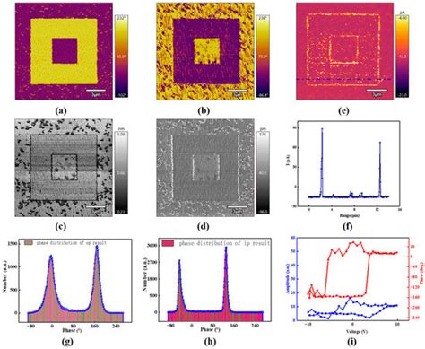 Ferroelectric Domain Modulation with Tip-Poling Engineering in BiFeO3 Films