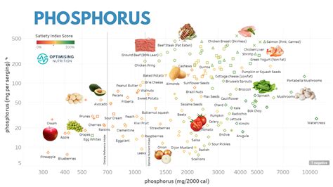 Foods High In Phosphorus Benefits at Karen Baptiste blog