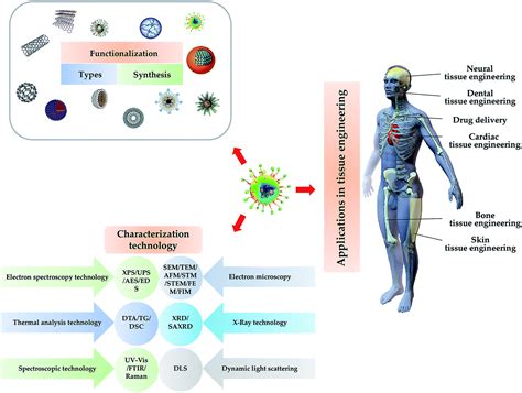 Tissue engineering Applications 的图像结果
