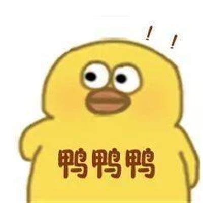 2021最新版的热门小黄鸭可爱的表情包 超级可爱也很有意思的小黄鸭表情-腾牛个性网