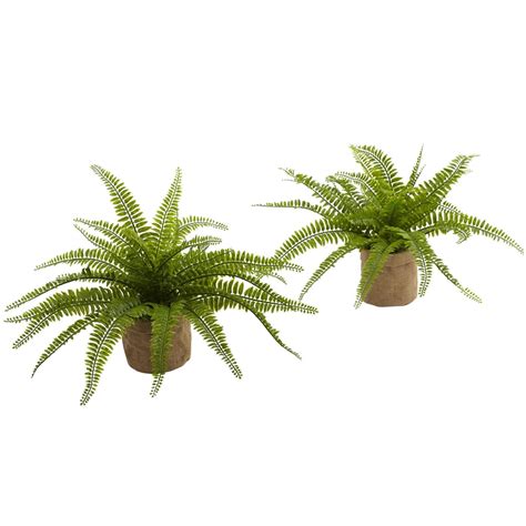 Artificial Fern Plants | Fake Ferns | Nearly Natural