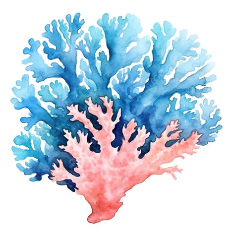 Aquarela Coral