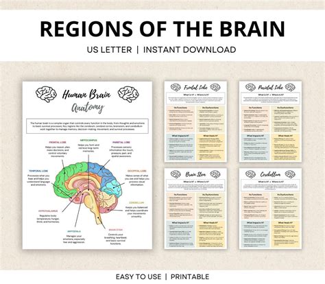 Image result for Mapping Method of Note Taking