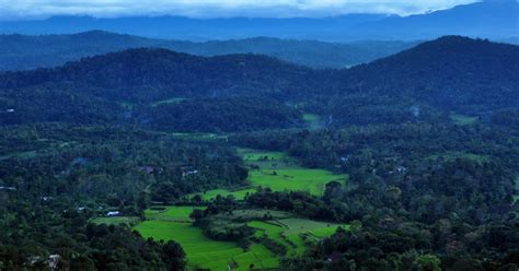 Top Places to Visit Near Bangalore During Monsoon Season