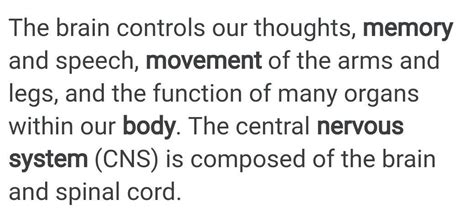 functions of human brain - Brainly.in
