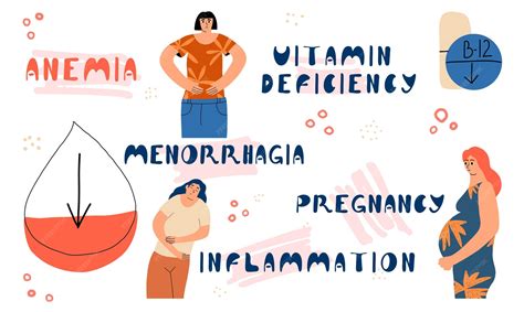 Causes of anemia in a woman infographics on iron deficiency in the body medical concept ...