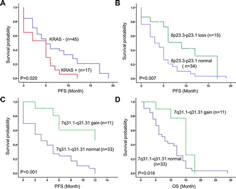 Image result for Level of Chromosomal Copy Number Variation