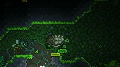 Image result for Turtle Shell Armor