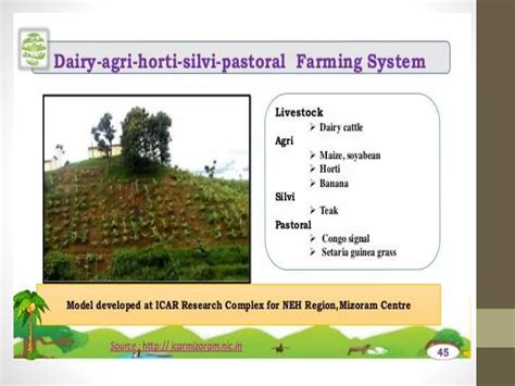 Agroforestry Systems 的图像结果