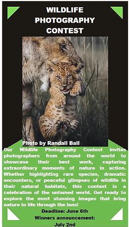 Image result for Focal Length Comparison