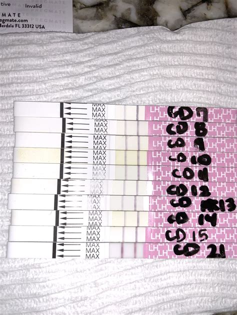 How To Read An Lh Surge Test at Charles Mcclelland blog