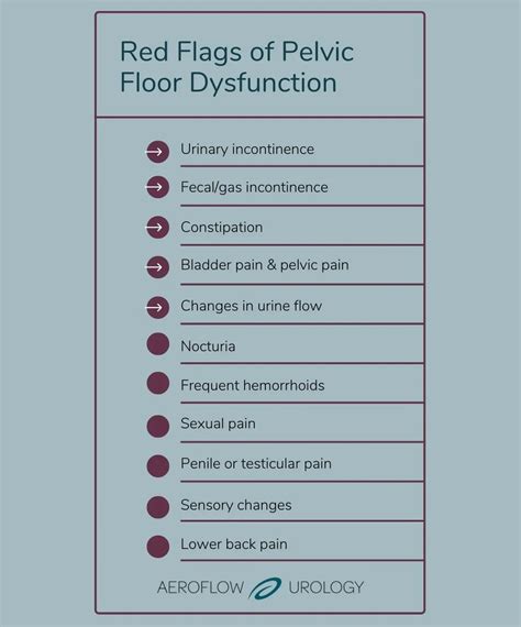 Signs Of Weak Pelvic Floor Male And Females | Viewfloor.co