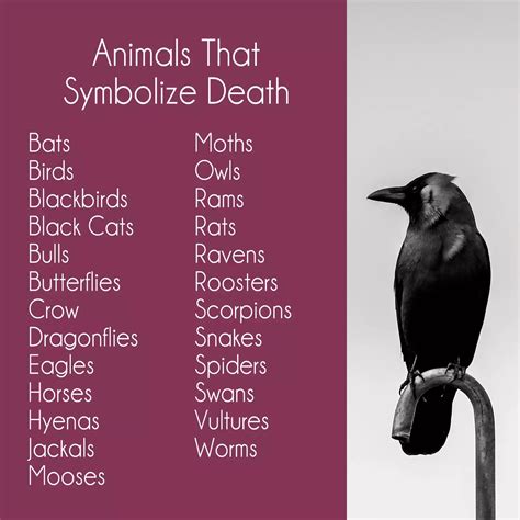 Best 13 Animals That Symbolize Death: 25 Creatures With Grim Message ...