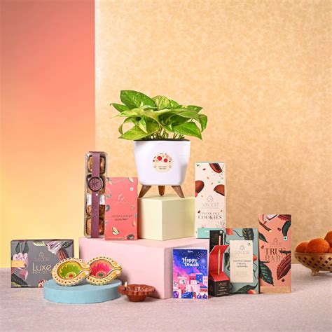 Money Plant Variegated & Smoor Diwali Gift Hamper – Ugaoo
