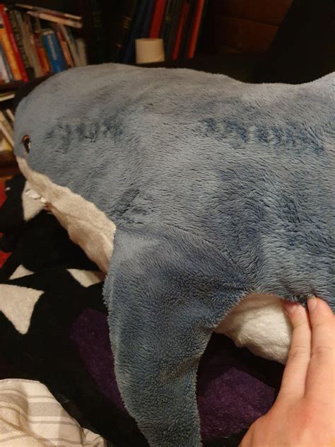 Image result for Blahaj Washing Machine