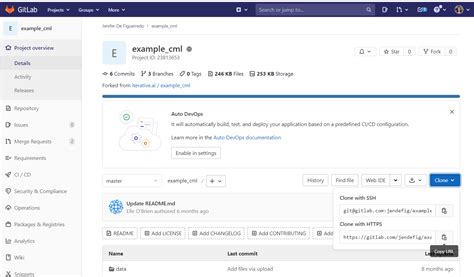 Image result for Clone From GitLab to Local Computer